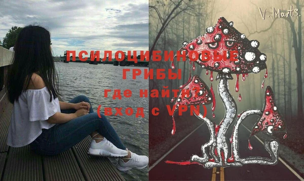 mdpv Вязьма