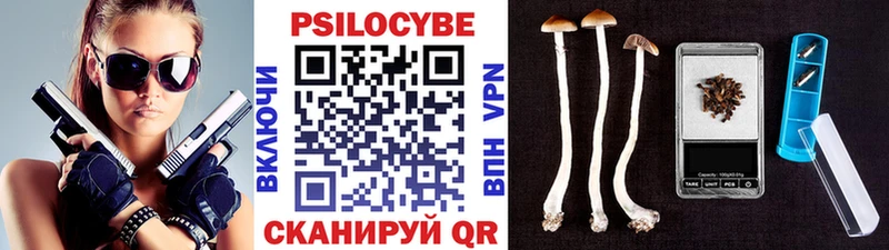 купить наркотик  Железноводск  Псилоцибиновые грибы ЛСД 